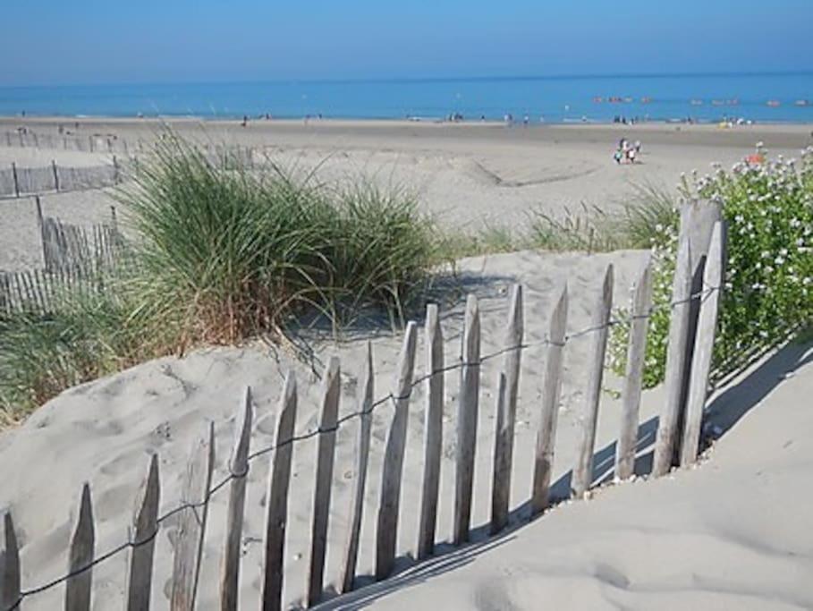Logement A Deux Pas De La Plage Et Des Commerces Le Tréport Esterno foto